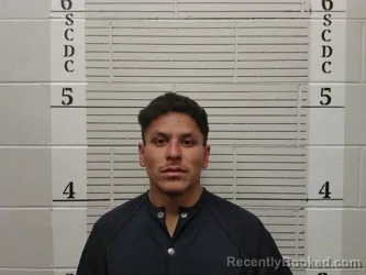 Mugshot of Domenique Sedillo