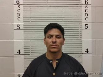 Mugshot of Domenique Sedillo