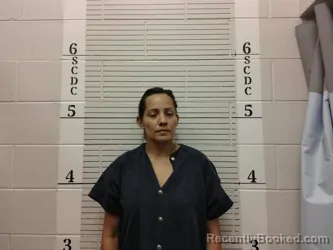 Mugshot of Heidi M Juarez booked in Socorro County, New Mexico on October 25, 2026