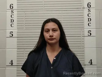 Mugshot of Llamiles Amaya-Carbajal booked in Socorro County, New Mexico on June 18, 2026