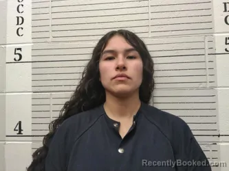 Mugshot of Martiza Leriani Hernandez booked in Socorro County, New Mexico on May 2, 2026
