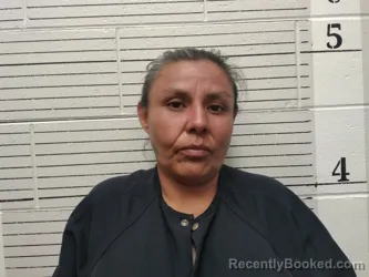 Mugshot of Shianna Apachito booked in Socorro County, New Mexico on July 15, 2026