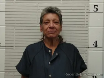 Mugshot of Sandra A Carrillo booked in Socorro County, New Mexico on July 29, 2026