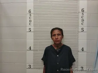 Mugshot of Sabrina L Mexicano booked in Socorro County, New Mexico on August 17, 2026