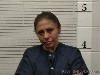 Mugshot of Tanya M Lucero booked in Socorro County, New Mexico on May 14, 2026