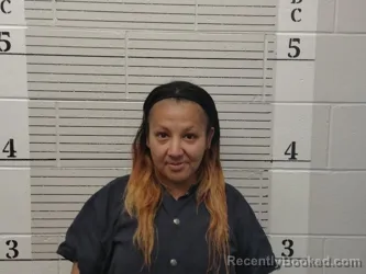 Mugshot of Vanessa Hinojosa booked in Socorro County, New Mexico on July 9, 2026