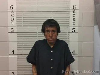 Mugshot of Will D Jesuse