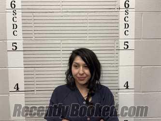Booking photo from Socorro County, New Mexico