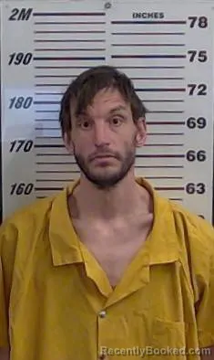 Mugshot of STEVEN W MARTIN booked in Valencia County, New Mexico on March 13, 2026