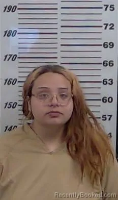 Mugshot of SHALYNN ZORN booked in Valencia County, New Mexico on April 12, 2026