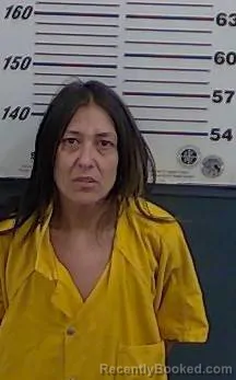 Mugshot of ERIKA M GABALDON booked in Valencia County, New Mexico on April 18, 2026