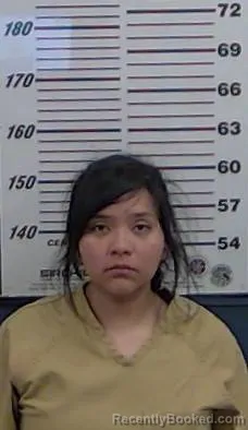 Mugshot of CARLA MARTINEZ booked in Valencia County, New Mexico on April 19, 2026
