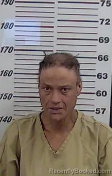Mugshot of DANIELLE VALDESPEE booked in Valencia County, New Mexico on May 22, 2026