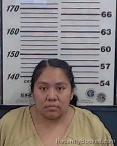 Mugshot of Michelle Lente