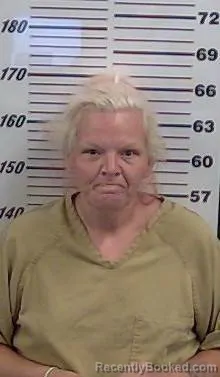 Mugshot of LISA YARDLEY booked in Valencia County, New Mexico on June 7, 2026