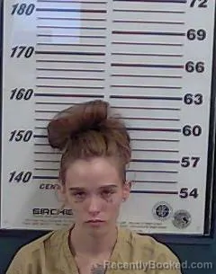 Mugshot of KATHRINE E BRANDENBURG booked in Valencia County, New Mexico on June 11, 2026