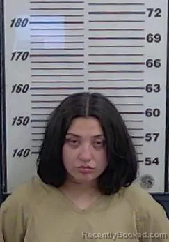 Mugshot of SYDNEY KILLINGER booked in Valencia County, New Mexico on June 11, 2026