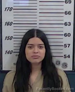 Mugshot of BIANICA TORRES-BANUELOS booked in Valencia County, New Mexico on June 12, 2026