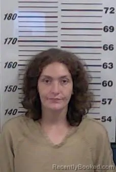 Mugshot of BRITTNEE TIETJEN booked in Valencia County, New Mexico on June 15, 2026