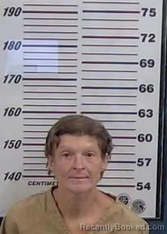 Mugshot of VIRGINIA SHAW booked in Valencia County, New Mexico on June 30, 2026