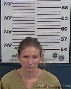 Mugshot of ARLENE DRAKE booked in Valencia County, New Mexico on July 2, 2026