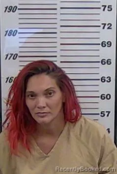 Mugshot of LYNSEY GRAVES booked in Valencia County, New Mexico on July 3, 2026