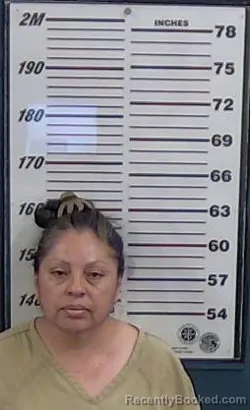 Mugshot of JUANA MORALES booked in Valencia County, New Mexico on July 5, 2026