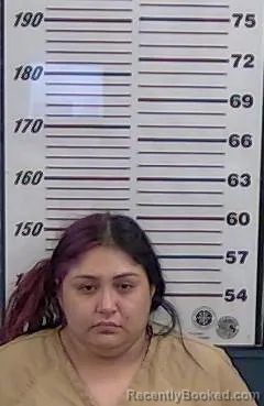 Mugshot of CAMILA CALDERA booked in Valencia County, New Mexico on July 7, 2026