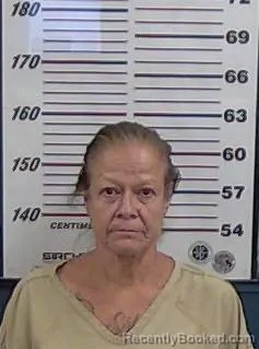 Mugshot of JEANETTE GUTIERREZ booked in Valencia County, New Mexico on July 14, 2026