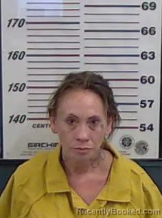 Mugshot of FELICIA ANAYA booked in Valencia County, New Mexico on July 14, 2026