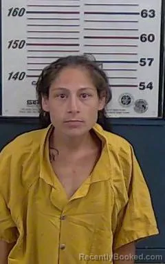 Mugshot of CRYSTAL A HARRIS booked in Valencia County, New Mexico on July 15, 2026
