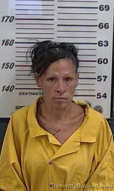Mugshot of AMY ELIZABETH PLATERO booked in Valencia County, New Mexico on July 15, 2026