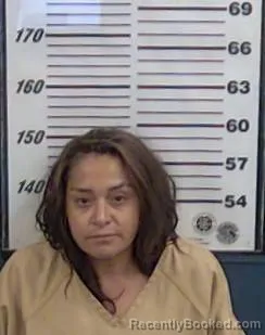 Mugshot of Viridiana Quinonez-Gonzalez booked in Valencia County, New Mexico on August 11, 2026