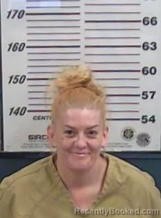 Mugshot of Raeanne N Armijo booked in Valencia County, New Mexico on August 11, 2026