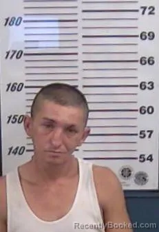 Mugshot of Herman Paul Sachs