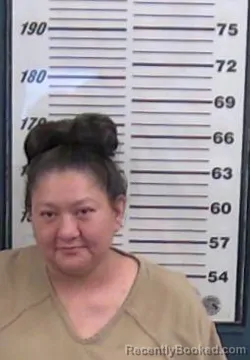 Mugshot of Melissa Tenorio booked in Valencia County, New Mexico on August 13, 2026