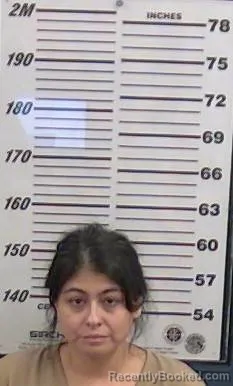 Mugshot of Anjelica Bermudez booked in Valencia County, New Mexico on August 15, 2026