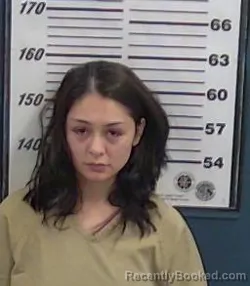 Mugshot of Aaliyah N Gallegos booked in Valencia County, New Mexico on August 27, 2026