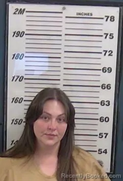 Mugshot of Sarah R Herrera booked in Valencia County, New Mexico on August 28, 2026