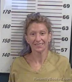 Mugshot of Brieanne Treacy booked in Valencia County, New Mexico on September 14, 2026
