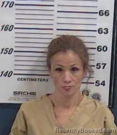 Mugshot of Michelle Marez