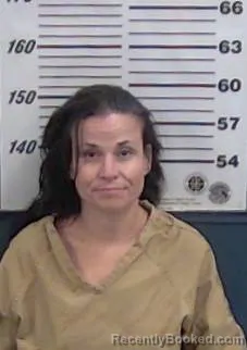 Mugshot of Dana L Brunner booked in Valencia County, New Mexico on October 15, 2026