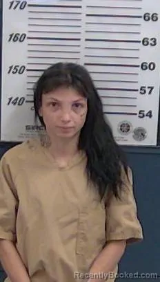 Mugshot of Destiny Dumont booked in Valencia County, New Mexico on October 16, 2026