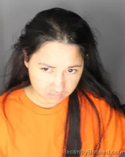 Mugshot of Sanjida Faima booked in Albany County, New York on July 22, 2026