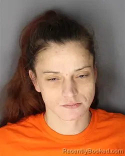 Mugshot of Erica Fogarty booked in Albany County, New York on October 9, 2026