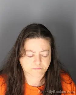Mugshot of Kimberly Stevens booked in Albany County, New York on July 29, 2026