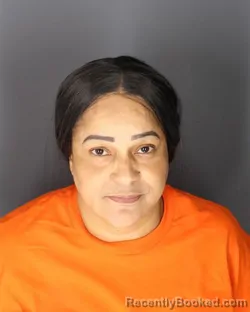 Mugshot of Maria Holguin Calvo booked in Albany County, New York on August 31, 2026