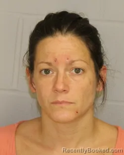 Mugshot of Sybil D Davis booked in Allegany County, New York on September 8, 2026
