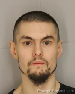 Mugshot of DEVIN MICHAEL FRISICARO booked in Allegany County, New York on March 26, 2026