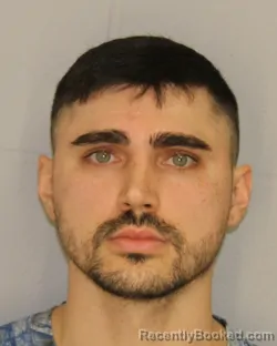 Booking photo from Allegany County, New York